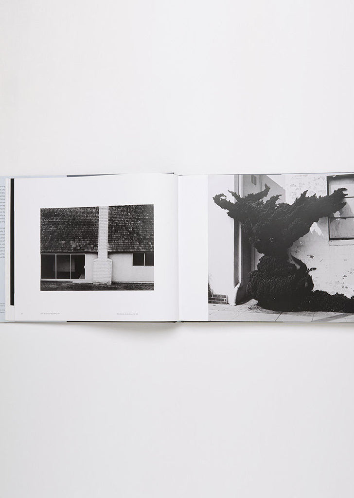 Both Sides of Sunset