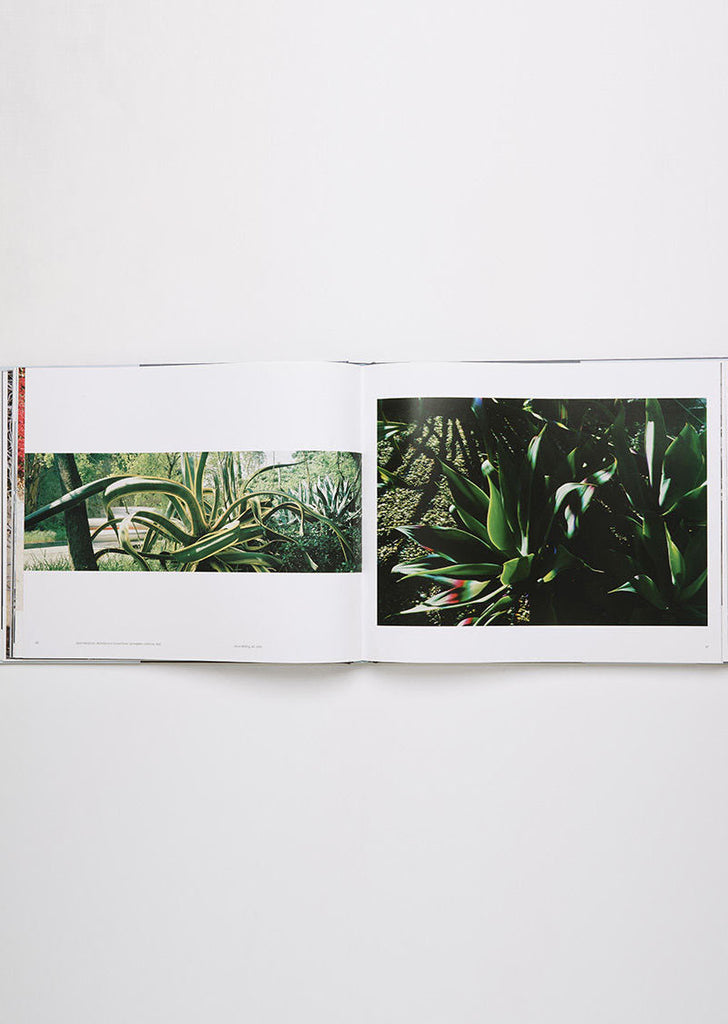 Both Sides of Sunset