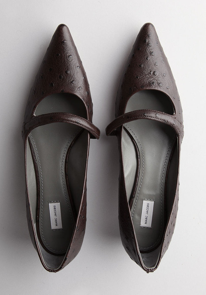 Pointy Toe Flat