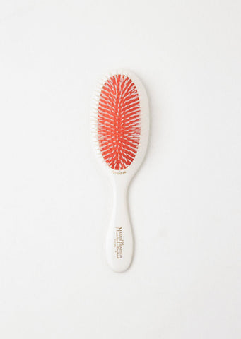 Detangler Hairbrush