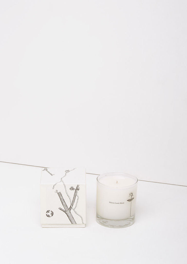 No.7 Dame De Boumois