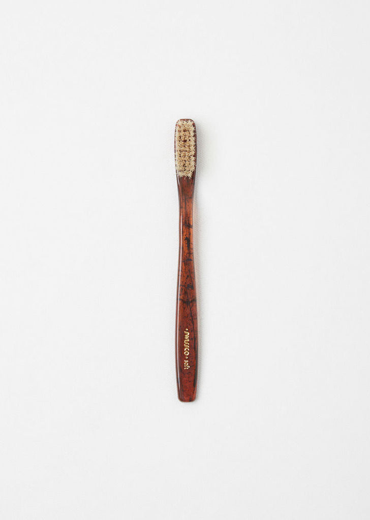 Tortoise Toothbrush