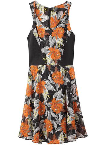 Full Skirt Dress
