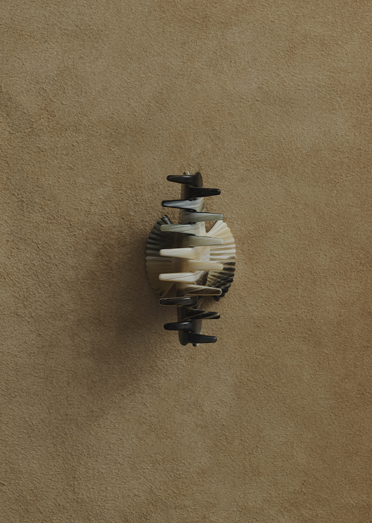 Small Fan Shell Claw