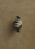 Small Fan Shell Claw