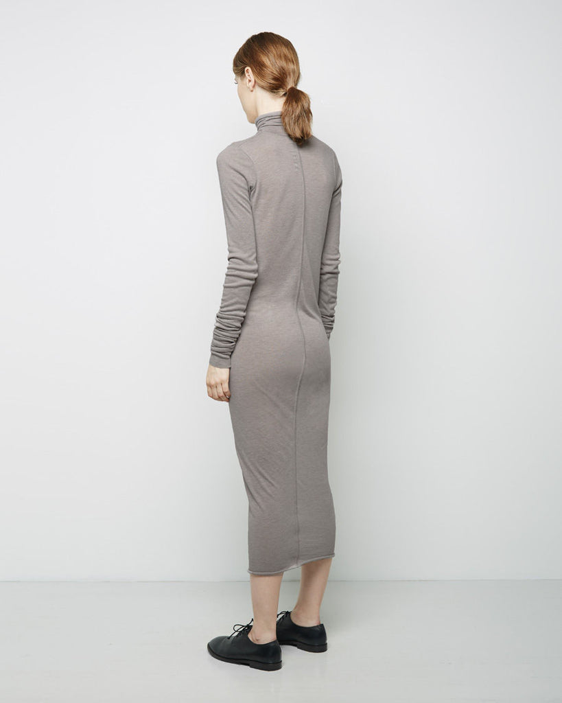 Long Turtleneck Dress