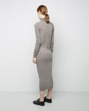 Long Turtleneck Dress