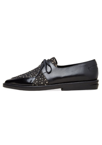 Luciana Pony Oxford