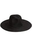 Tom Petty Felt Hat