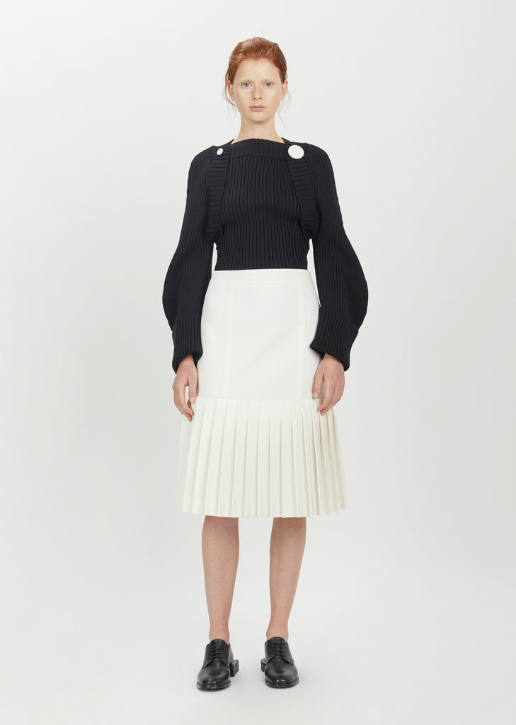 Plissee Drop Waist Skirt