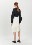 Plissee Drop Waist Skirt