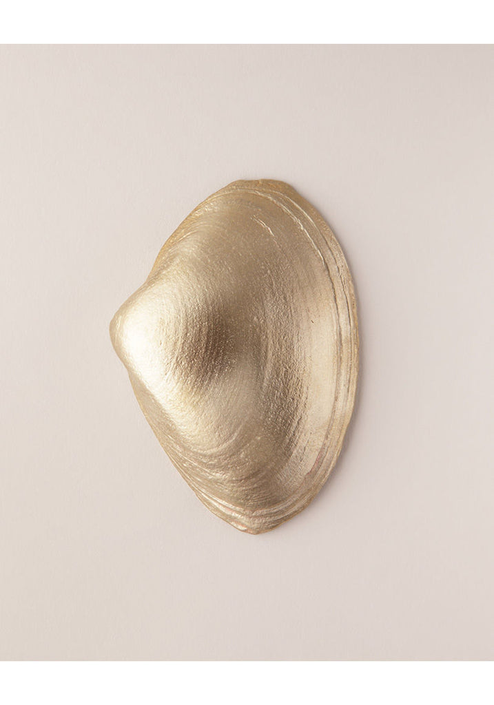 Brass Shell w/ Black Diamond