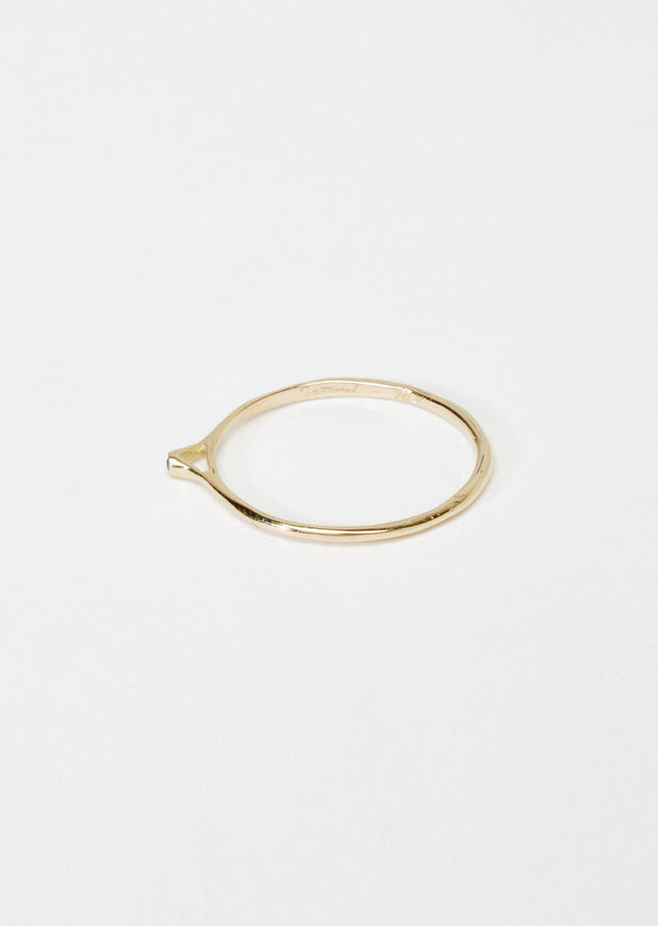 Tiny Point Black Diamond Ring
