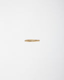 Gold Band with Diamond Inlay