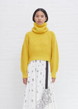 Wool Knit Pullover
