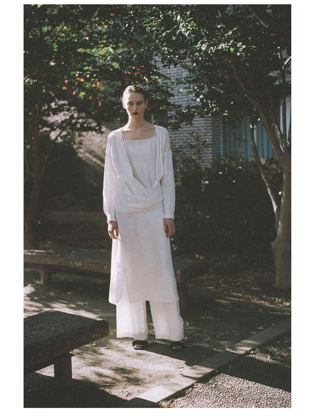 Introducing — Comoli
