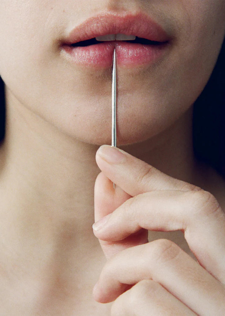 Silver Toothpick and Case