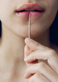 Silver Toothpick and Case