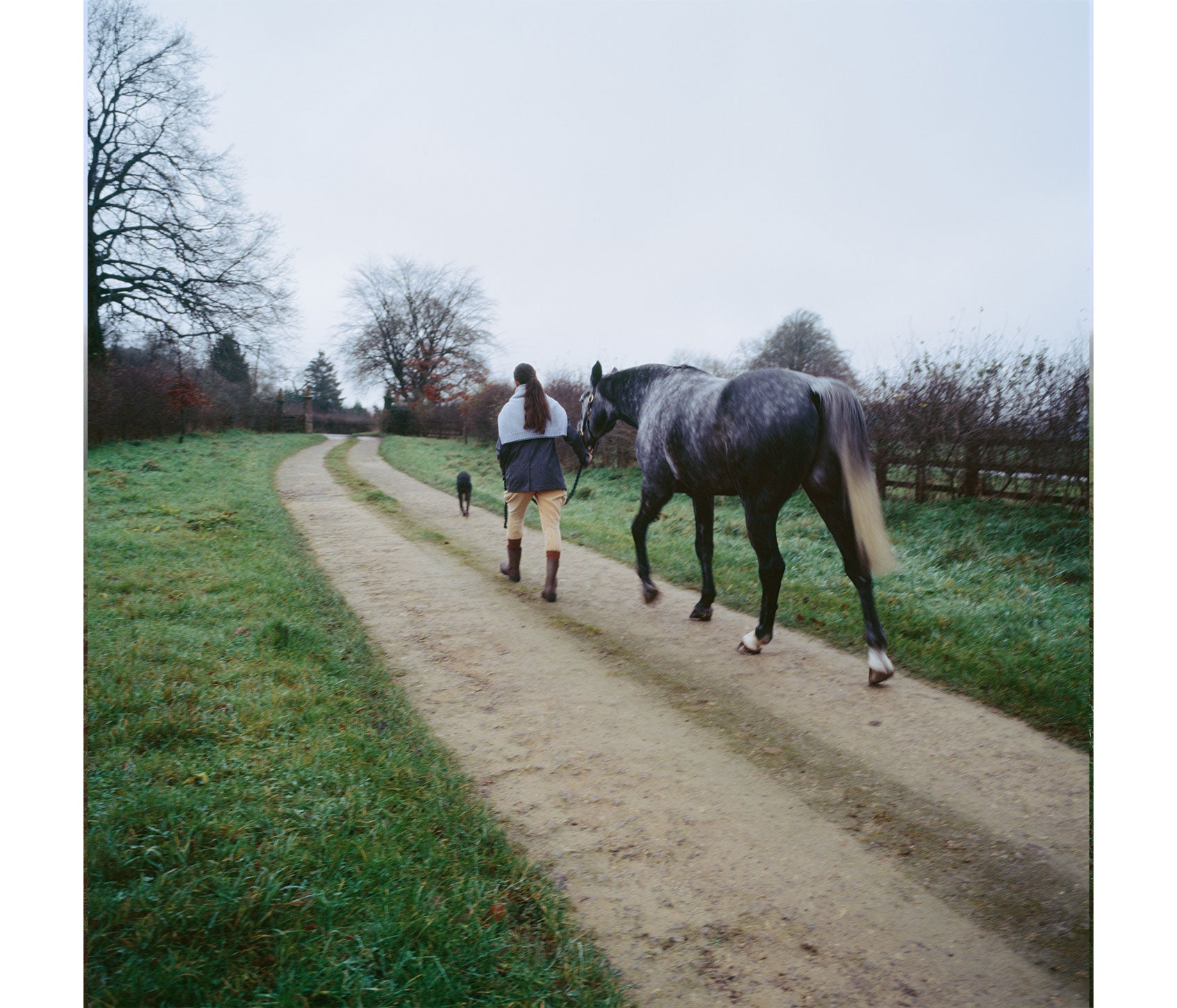 Introducing  — Meta Campagna Collective