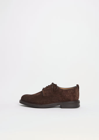 Pentire Suede Derby