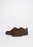 Pentire Suede Derby