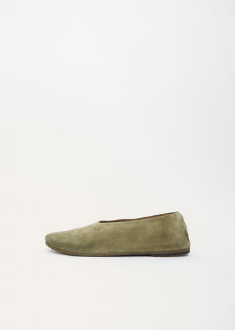 Coltellaccio Ballerina — Plant