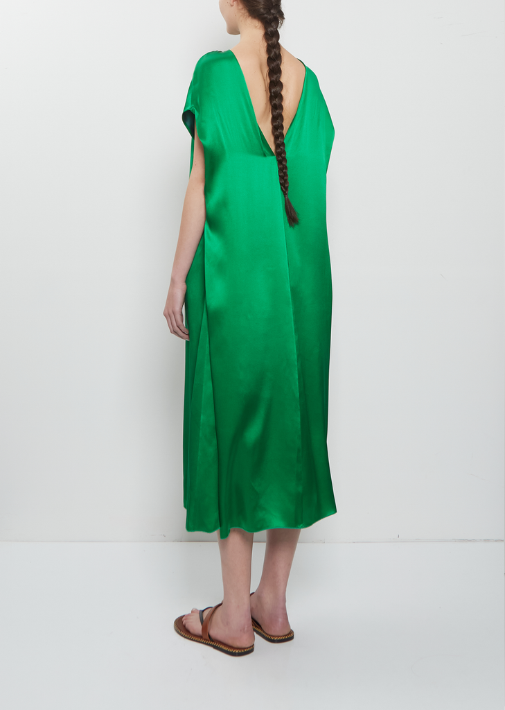 Diria Silk Dress