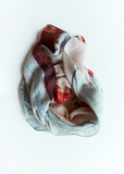 Exclusive Silk Cashmere Scarf — Wood