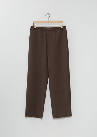 Ari Pant