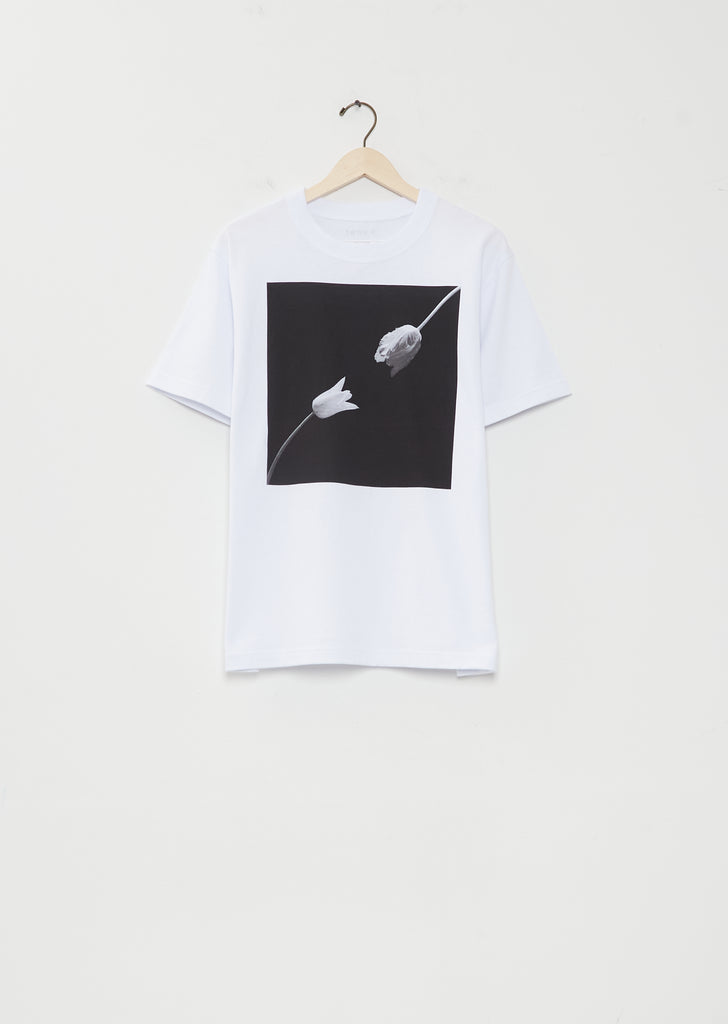 Robert Mapplethorpe Tulip T-Shirt