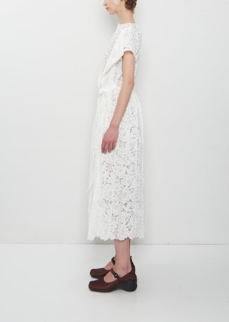 Pleated Sheer Panel Flare Dress w/ Embroidery