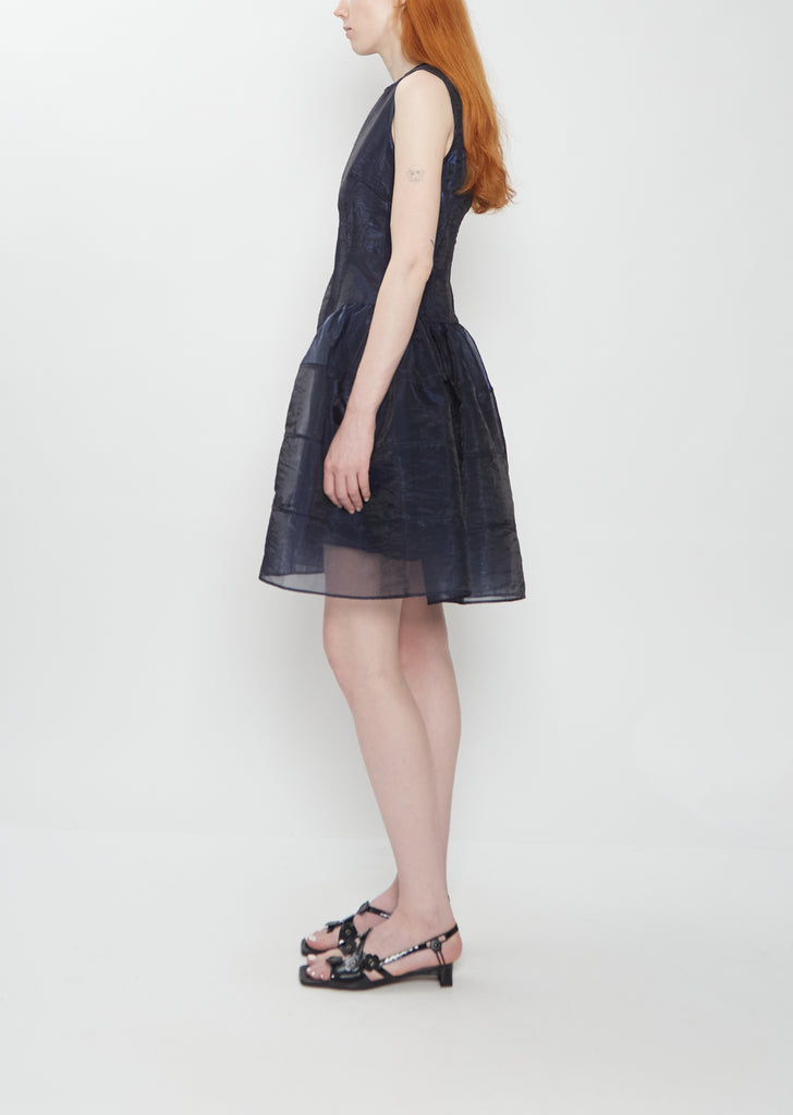 Claudie Organza Dress