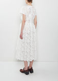 Pleated Sheer Panel Flare Dress w/ Embroidery