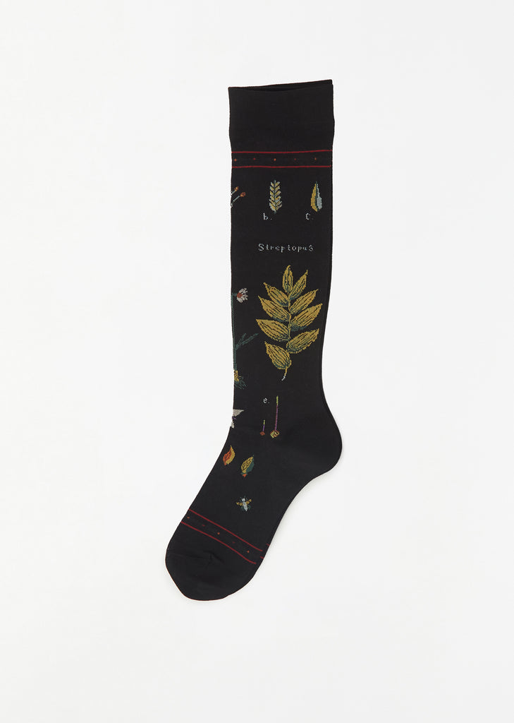 Botanical XVII Compression High Socks — Black