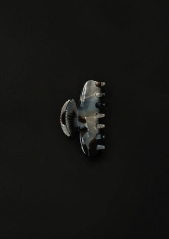 Fan Shell Claw Tesserae, Small