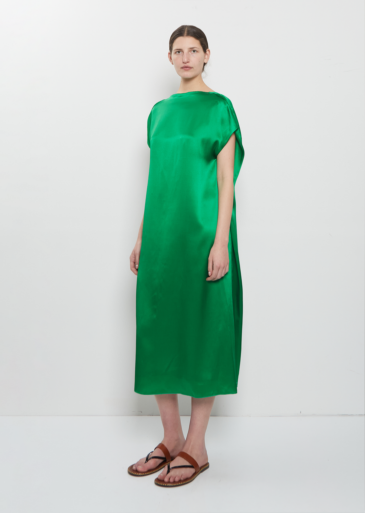 Diria Silk Dress