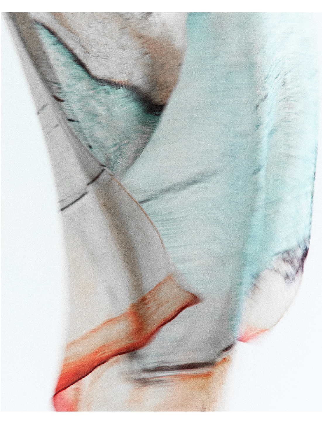 Exclusive Scarf Capsule — Casey Casey