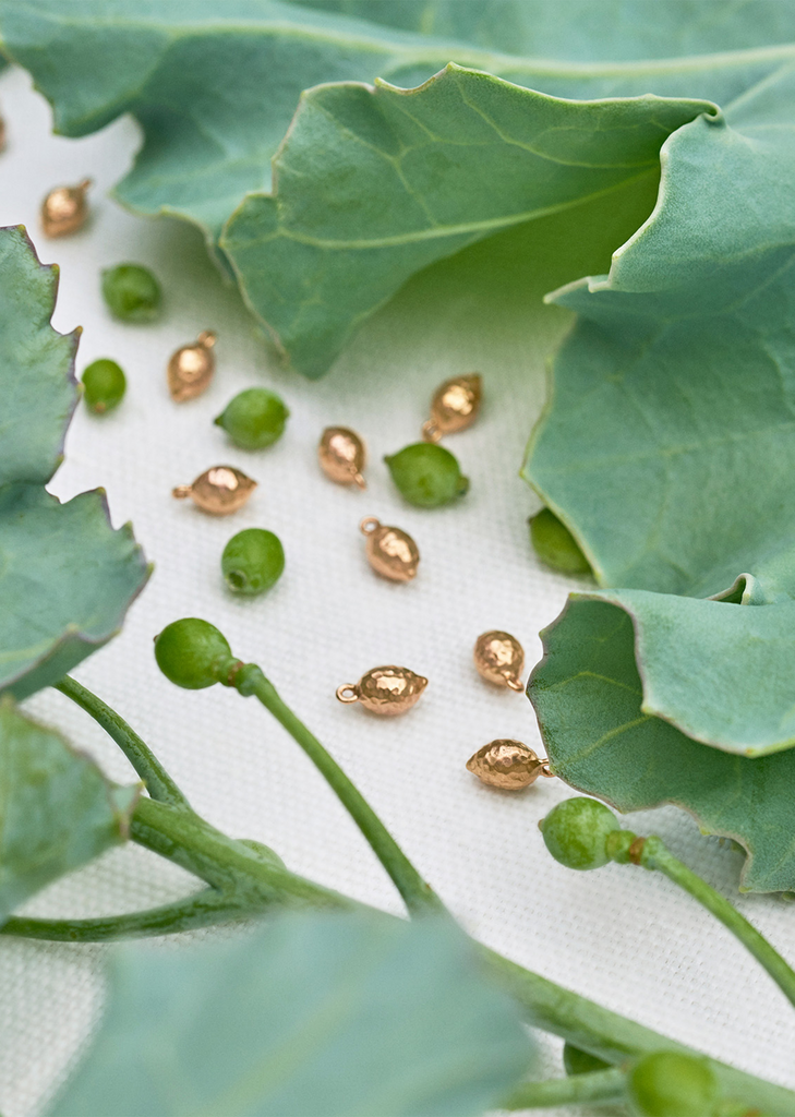 Sea Kale Seed Earrings