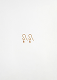 Sea Kale Seeds Earrings