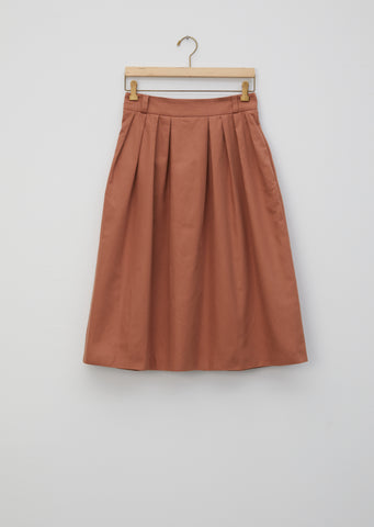 Pretty Pleated Skirt