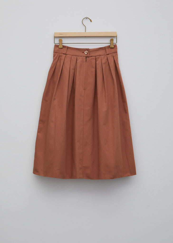 Pretty Pleated Skirt