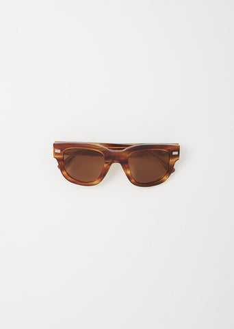 Wayfarer Sunglasses