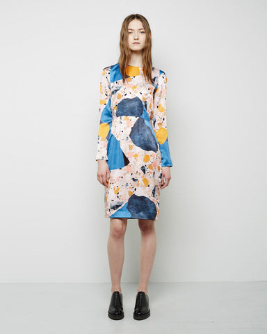 Noble Printed Silk Dress