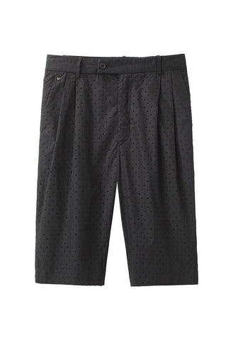 Long Pleated Short