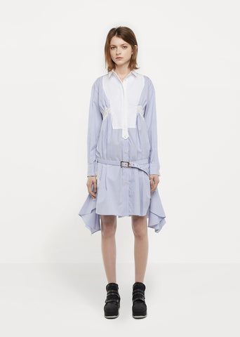 Silk Organza Shirtdress