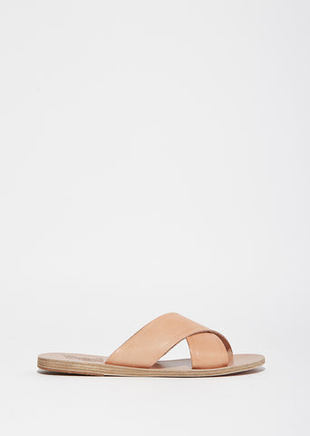 Thais Slides