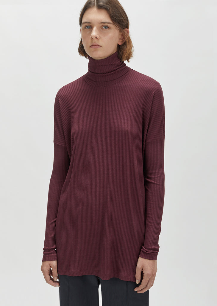 Warm Rib Turtleneck Tunic