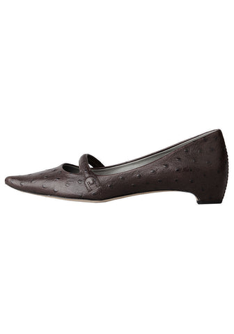 Pointy Toe Flat