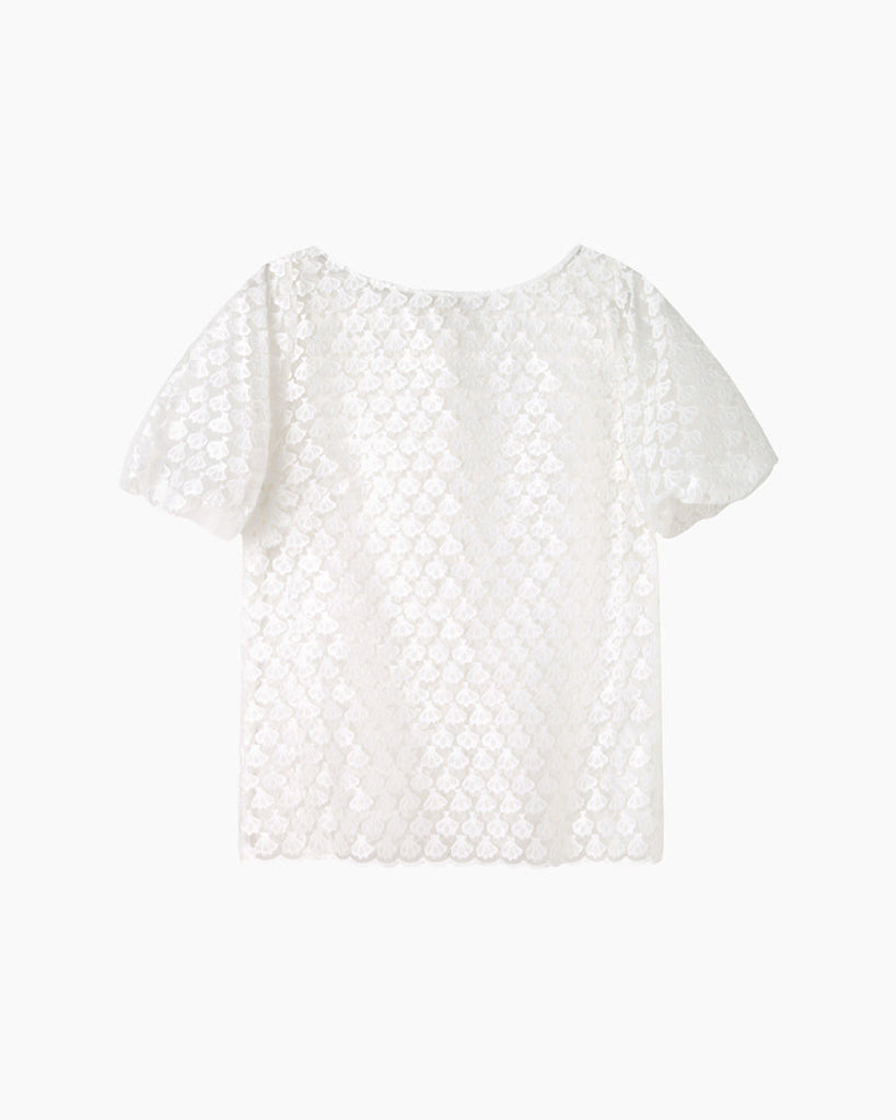 Shell Lace Top