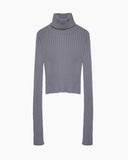 Thick Rib Turtleneck